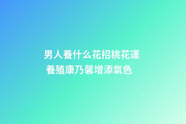 男人養什么花招桃花運  養殖康乃馨增添氣色